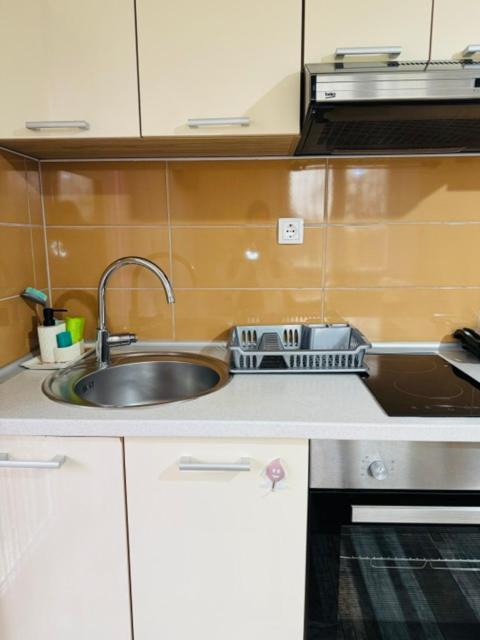 Licko Petrovo Selo Apartments Paradise מראה חיצוני תמונה