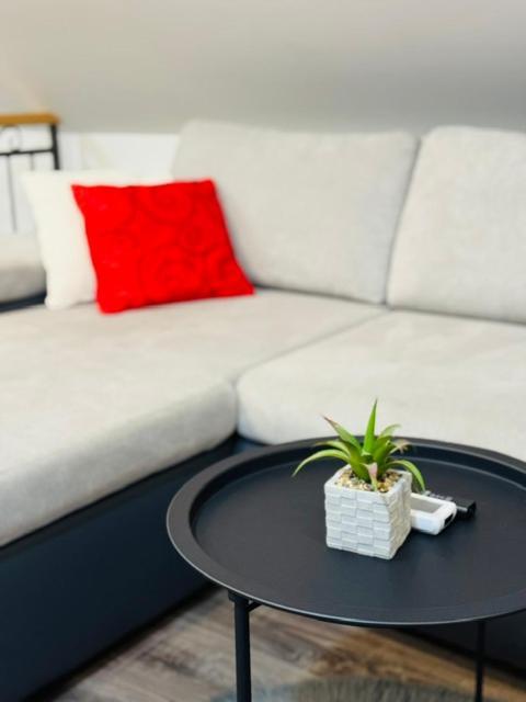 Licko Petrovo Selo Apartments Paradise מראה חיצוני תמונה