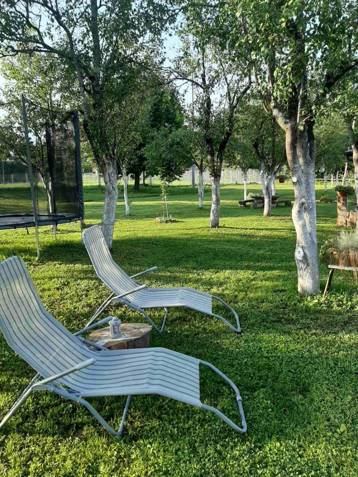 Licko Petrovo Selo Apartments Paradise מראה חיצוני תמונה